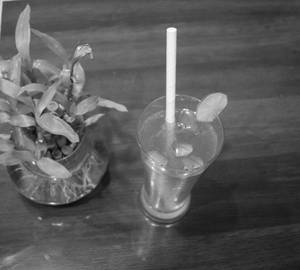 Mint Mojito