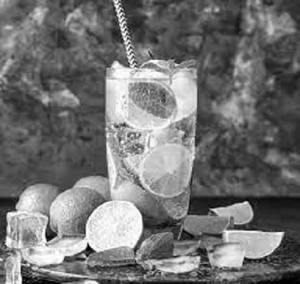 Lemon Mint Mojito