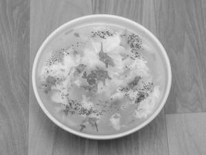 Chicken Clear Soup
