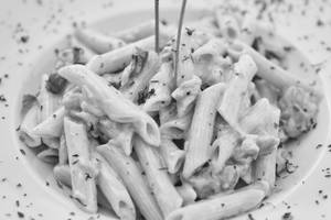 Alfredo white sauce pasta