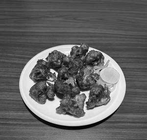 Gobi 65