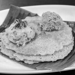 Sponge Loni Dosa