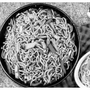 Veg schezwan noodle rice