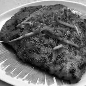Tawa Fish