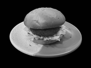American Veggie Burger