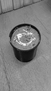 Kadhai Mushroom
