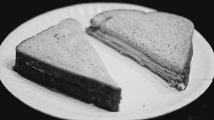 Plain Cheese Sandwich
