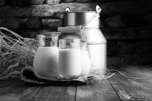 Milk 