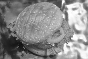 Classic Burger