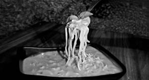 Tommy Soupy Maggi