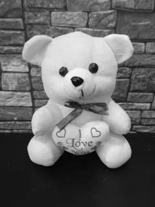 Teddy 6 inch