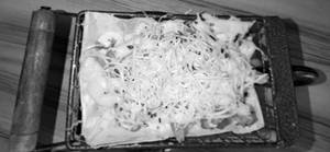 Chesse Loaded Fries (chefs Special)