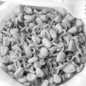 American Corn Maggi