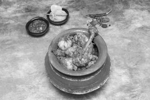 Chicken Handi