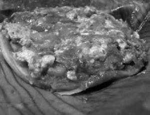Egg Pothi Paratha