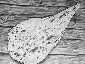 Plain Naan