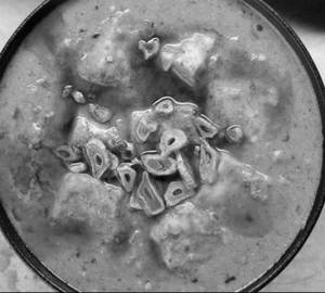 Paneer Garlic 