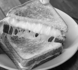 Cheese sandwich