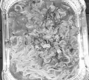 Veg Masala Maggi