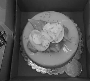 Mango Cake