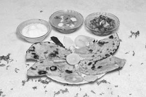 Daily Thali 2 