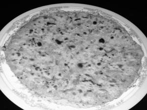 Missi Roti