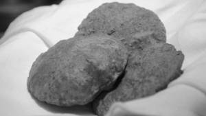 Singhare Puri