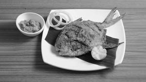 Pomfret Tawa Fry