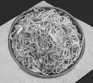Veg manchuria noodles