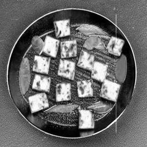 Taiwan Paneer