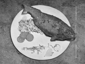 Bandga Fish Fry (2 Pieces)