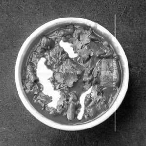 Veg Handi