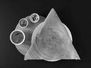 Paper Masala Dosa