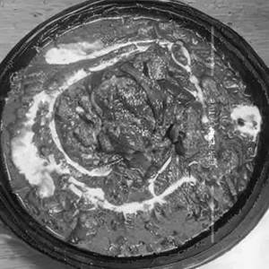 Dhingri Dolma