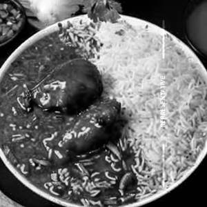 Chicken Hot Garlic Rice