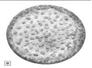 Cheese Sweet Corn Pizza
