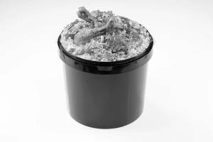 Regular Bucket Biryani