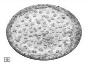Sweet Corn Pizza