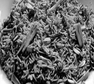 Singapore Rice 
