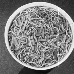 Chciekn Songapuri Noodles