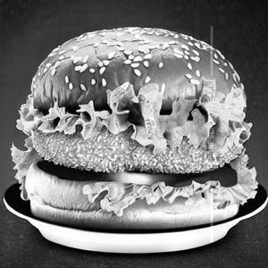 Crispy Chicken Burger