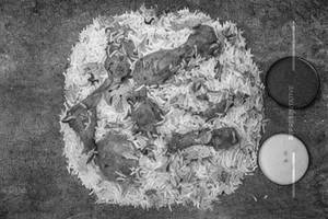 Chicken Seekh Biryani [Full]                                                       