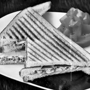 Paneer Cheese Chill Grill Sandwich