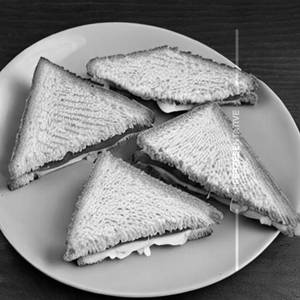Cheese Sandwich