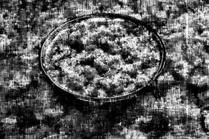 Mushroom Makhanwala