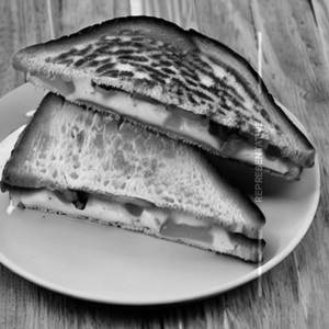Cheese Toast Sandwich 