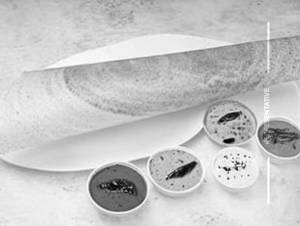 Plain Butter Dosa