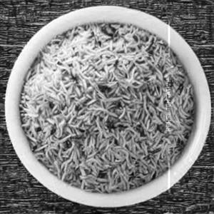 Plain Rice