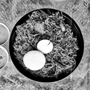 Badshahl Biryanl (Veg)
