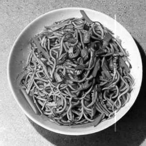 Mixed Hakka Noodles Non Veg